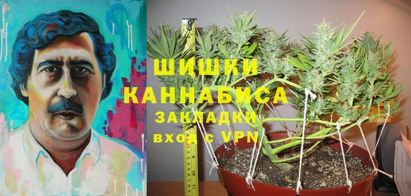 соль ск Лиски