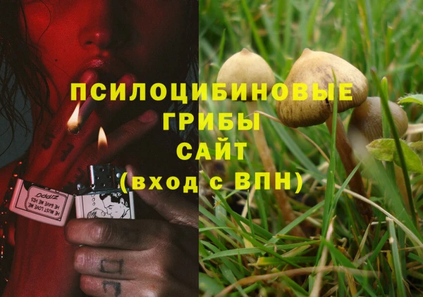 соль ск Лиски