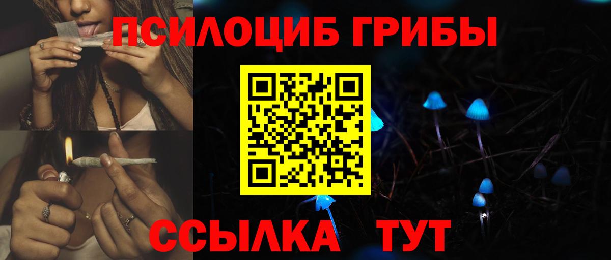 Псилоцибиновые грибы Psilocybine cubensis Димитровград